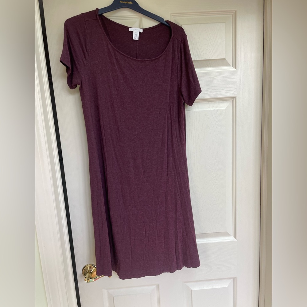 Daily Ritual Women's Jersey Short-Sleeve Bateau Neck Dress